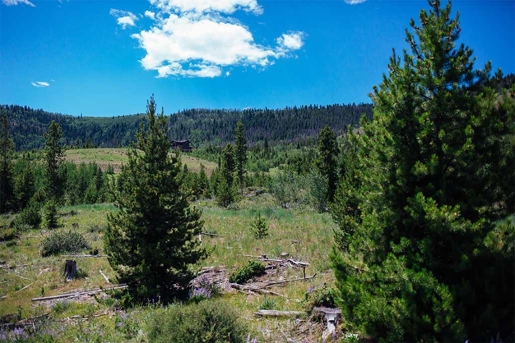 Mountain Ranch Land for Sale in Colorado