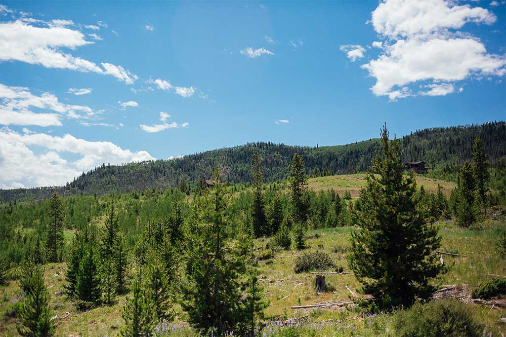 Mountain Ranch Land for Sale in Colorado